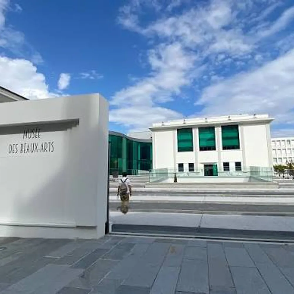 Musée des beaux-arts de Pau 3