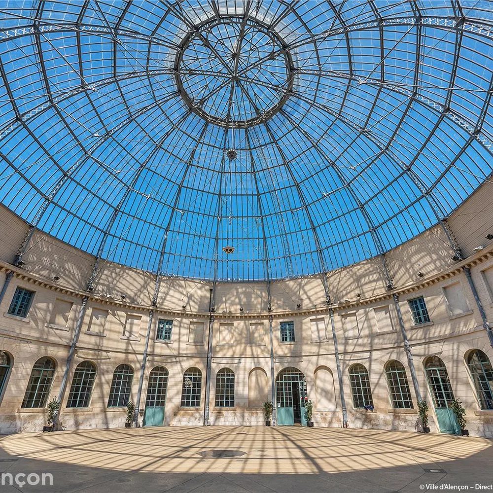 Musée des Beaux-arts et de la Dentelle 2