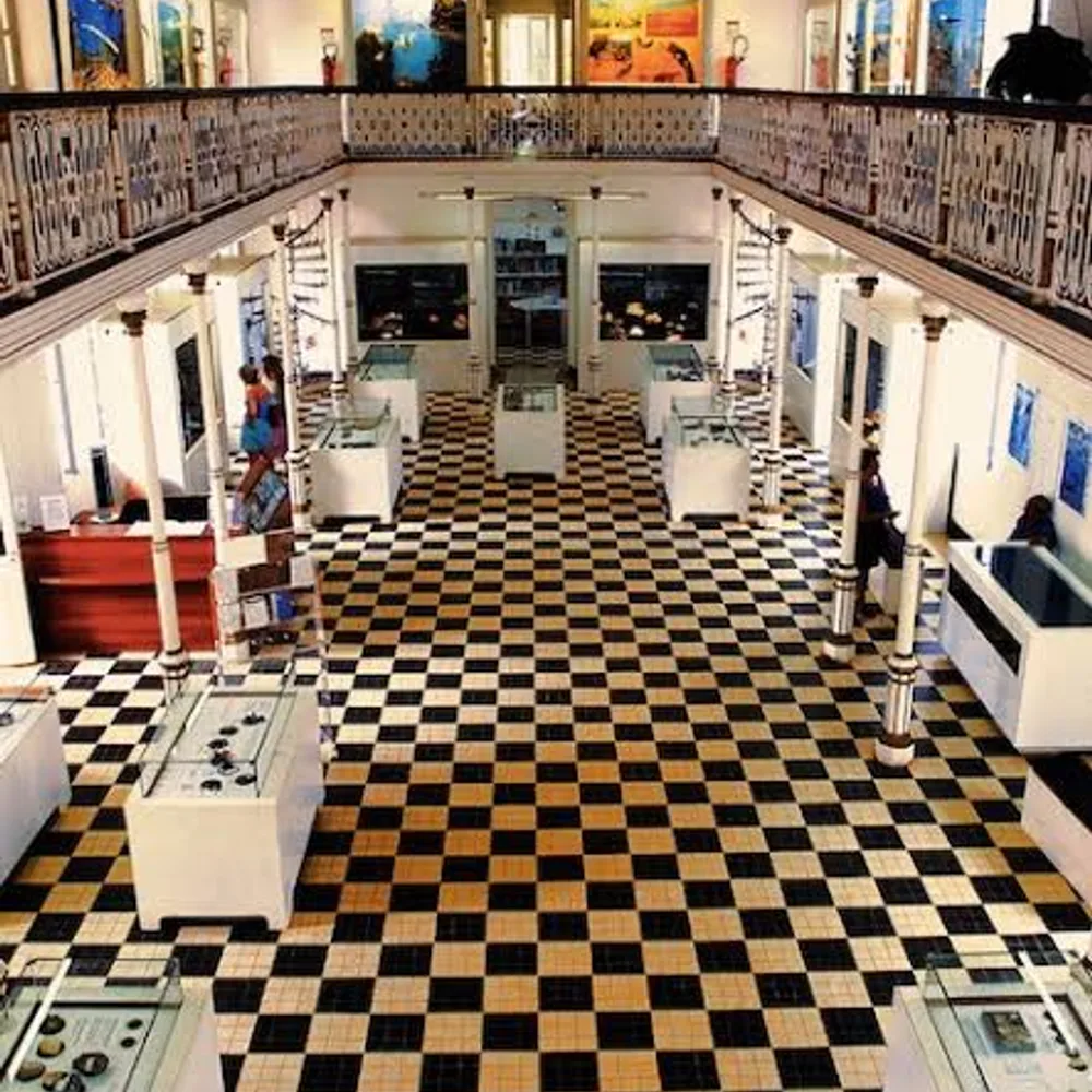 Muséum d'Histoire Naturelle 3
