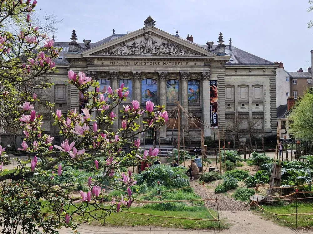 Muséum d'histoire naturelle de Nantes 2