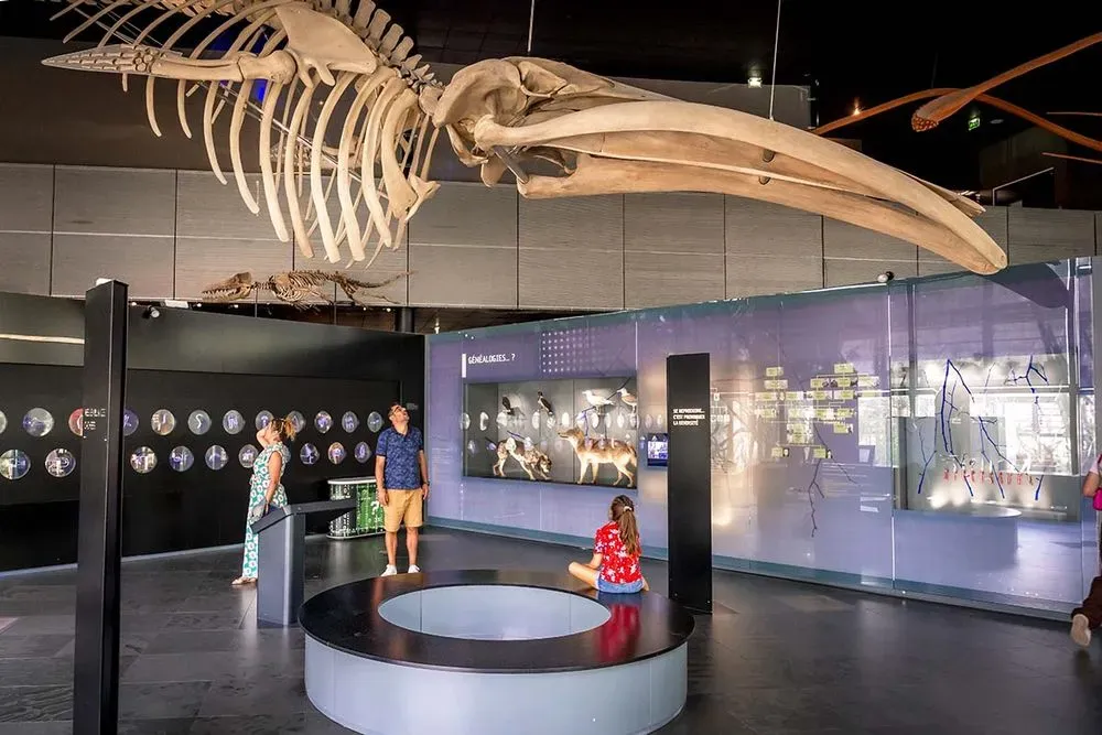 Muséum de Toulouse 3