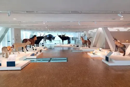 Cosquer Méditerranée 2