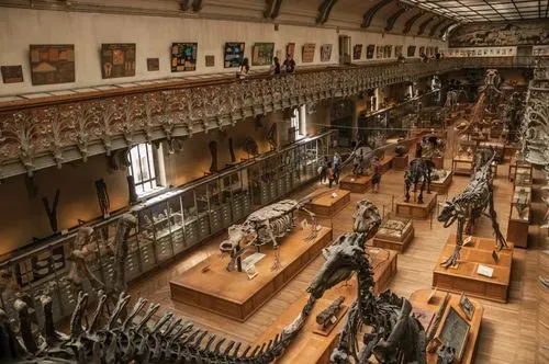 Grande Galerie de l'Évolution 2