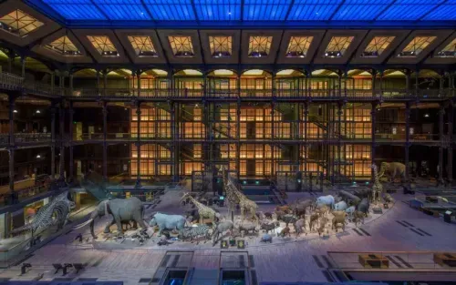 Grande Galerie de l'Évolution 3