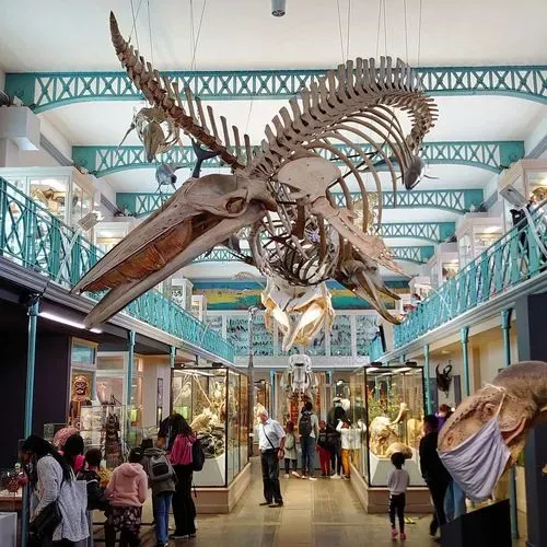 Musée d'Histoire Naturelle de Lille 3