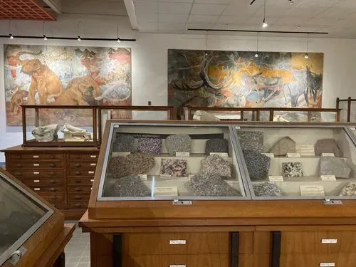 Musée d’ethnographie de l’université de Bordeaux (MEB) 2