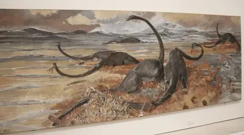 Musée d’ethnographie de l’université de Bordeaux (MEB) 3