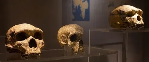 Musée de Préhistoire de Terra Amata 2