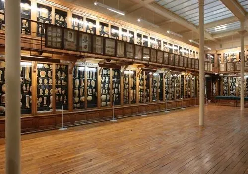 Musée des Moulages 2