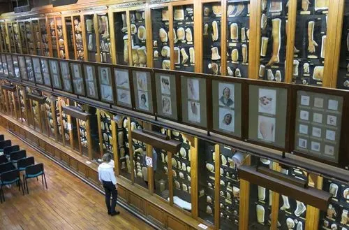 Musée des Moulages 3