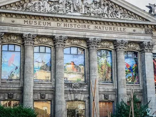 Muséum d'histoire naturelle de Nantes