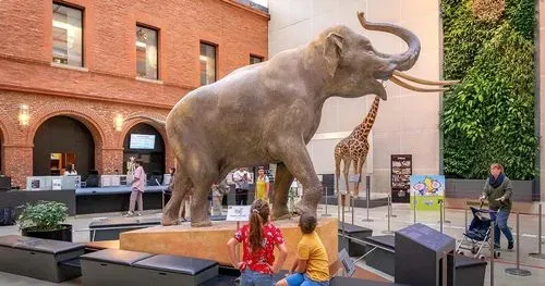 Muséum de Toulouse