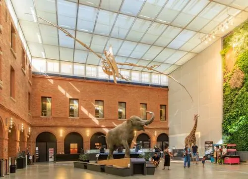 Muséum de Toulouse 2