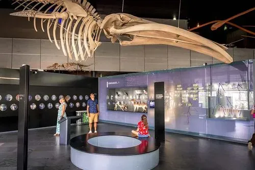 Muséum de Toulouse 3