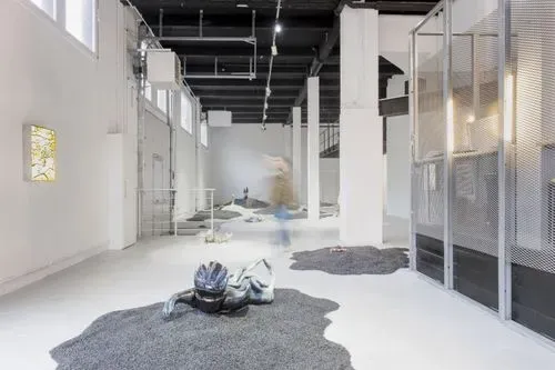 Zoo centre d’art contemporain 3