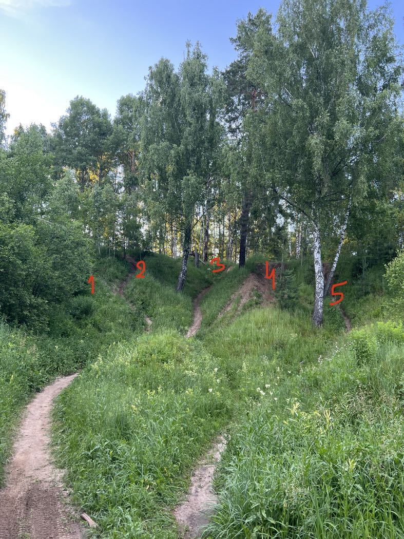 горки 1, покрышки