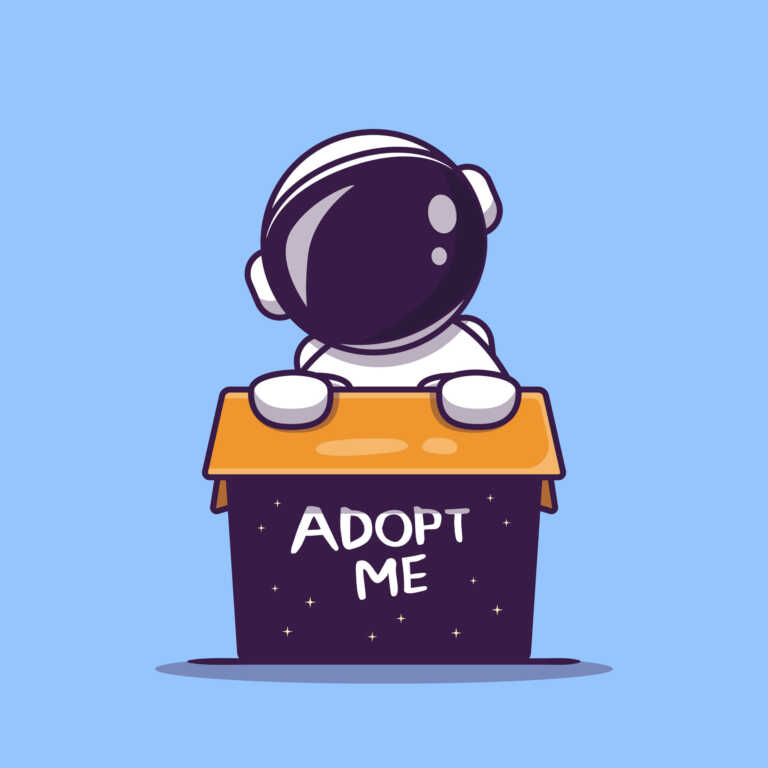 Announcing if attachment resolution sentiments admiration