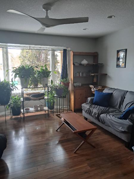 Looking for female roommate in Spruce Grove 