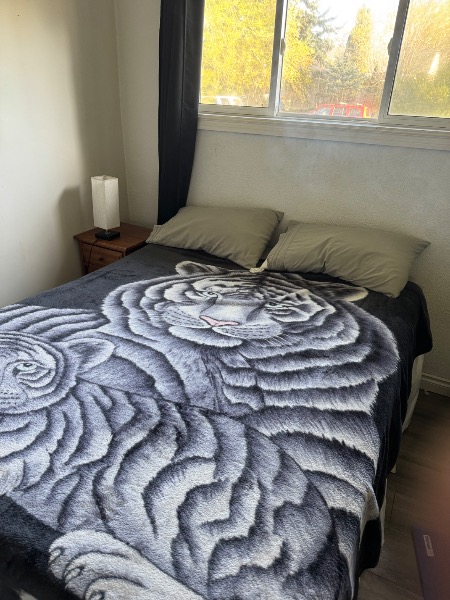 Cozy room in north edmonton