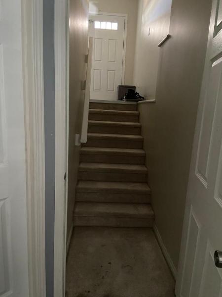 Basement suite 