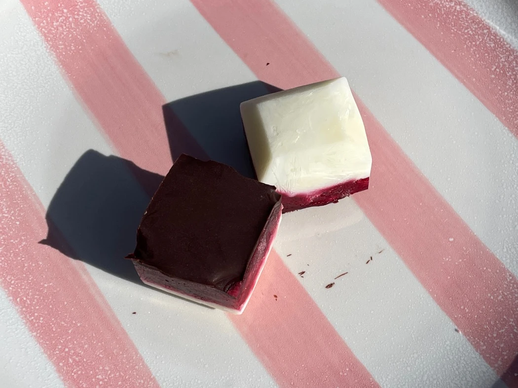 Vegetarian Frozen yogurt snack | Yvy