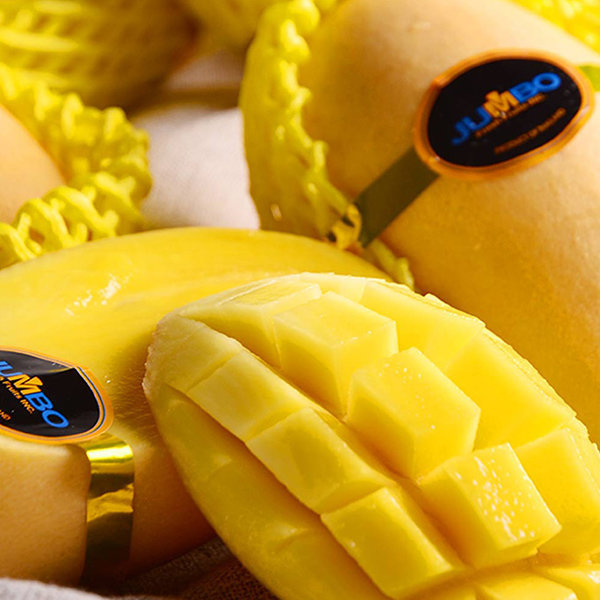 태국 골드 망고 특대과