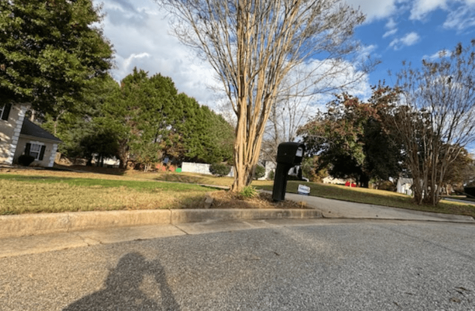God's Glorious Landscaping tree service work