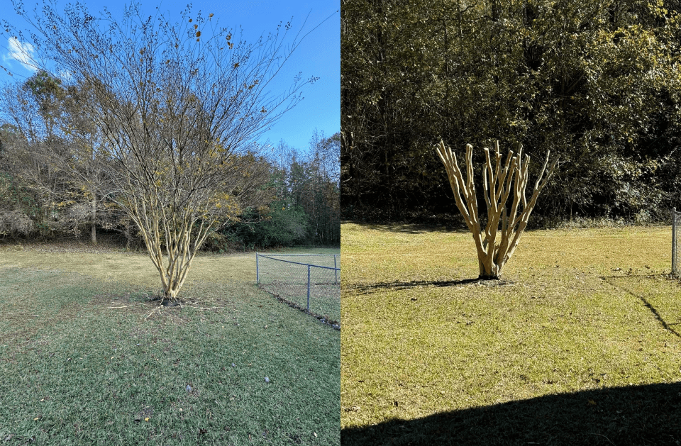 God's Glorious Landscaping tree service work
