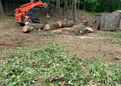 Complete Tree Service, LLC tree service work