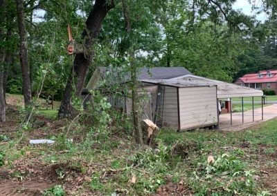 Complete Tree Service, LLC tree service work