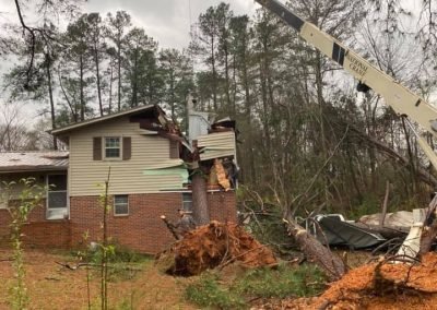 Complete Tree Service, LLC tree service work