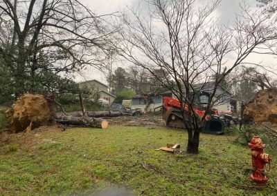 Complete Tree Service, LLC tree service work