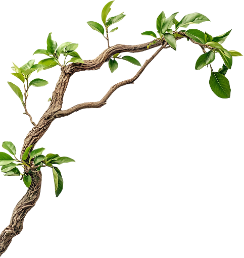 Photo of Life's Tree Doctor, LLC