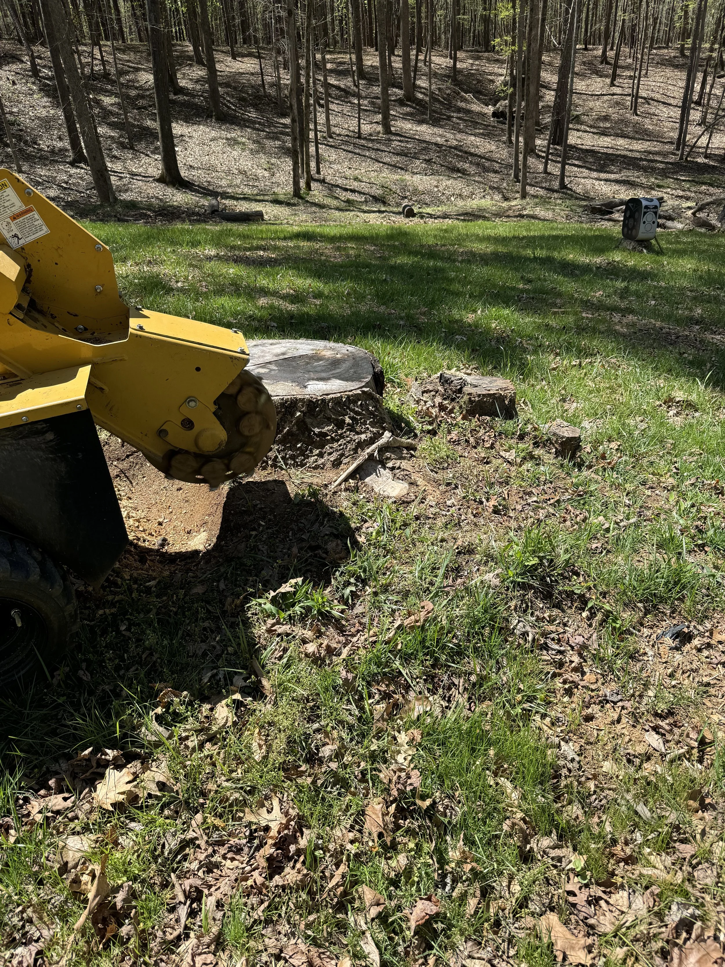North Georgia Stump Removal LLC tree service work