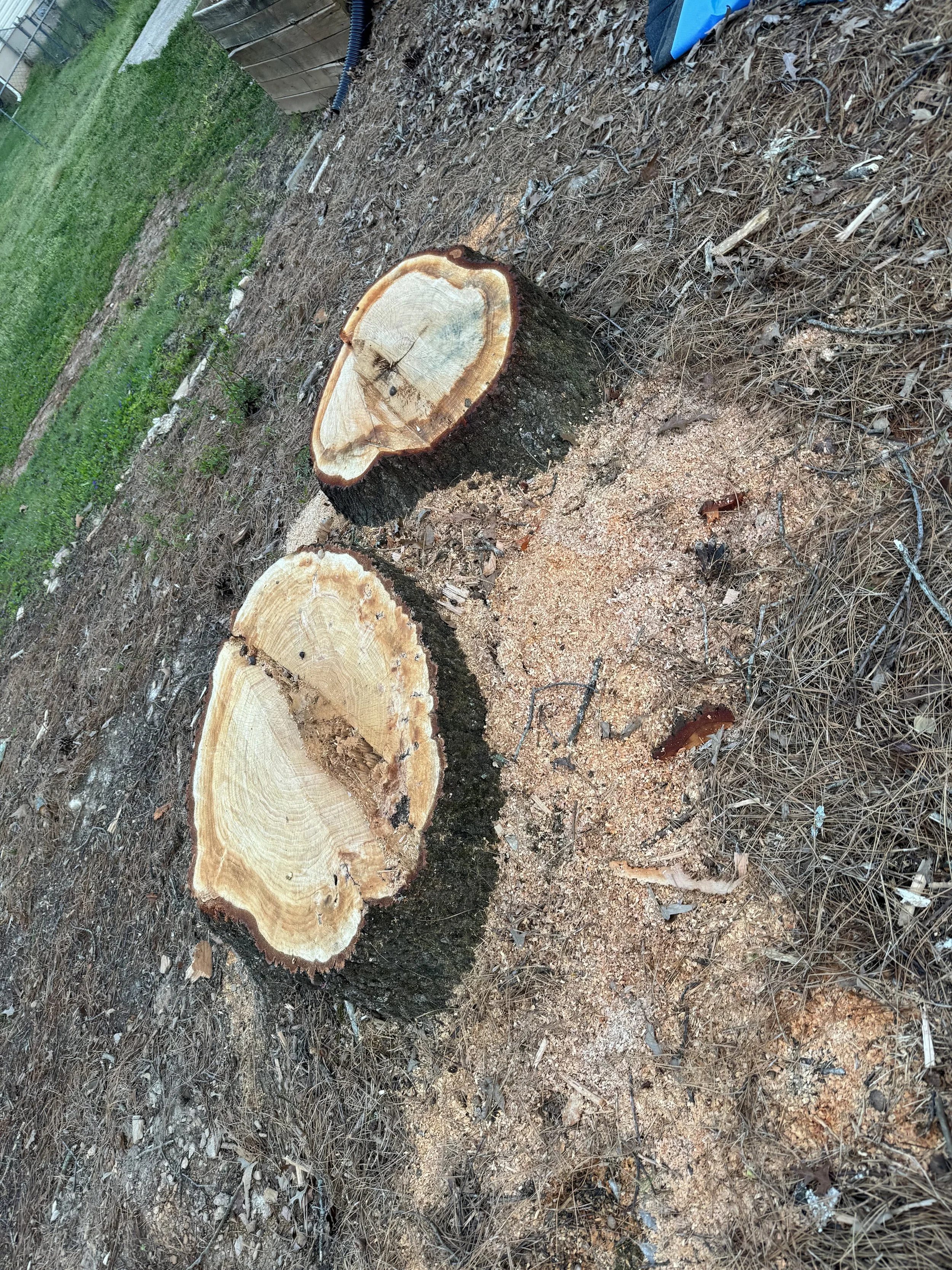 North Georgia Stump Removal LLC tree service work