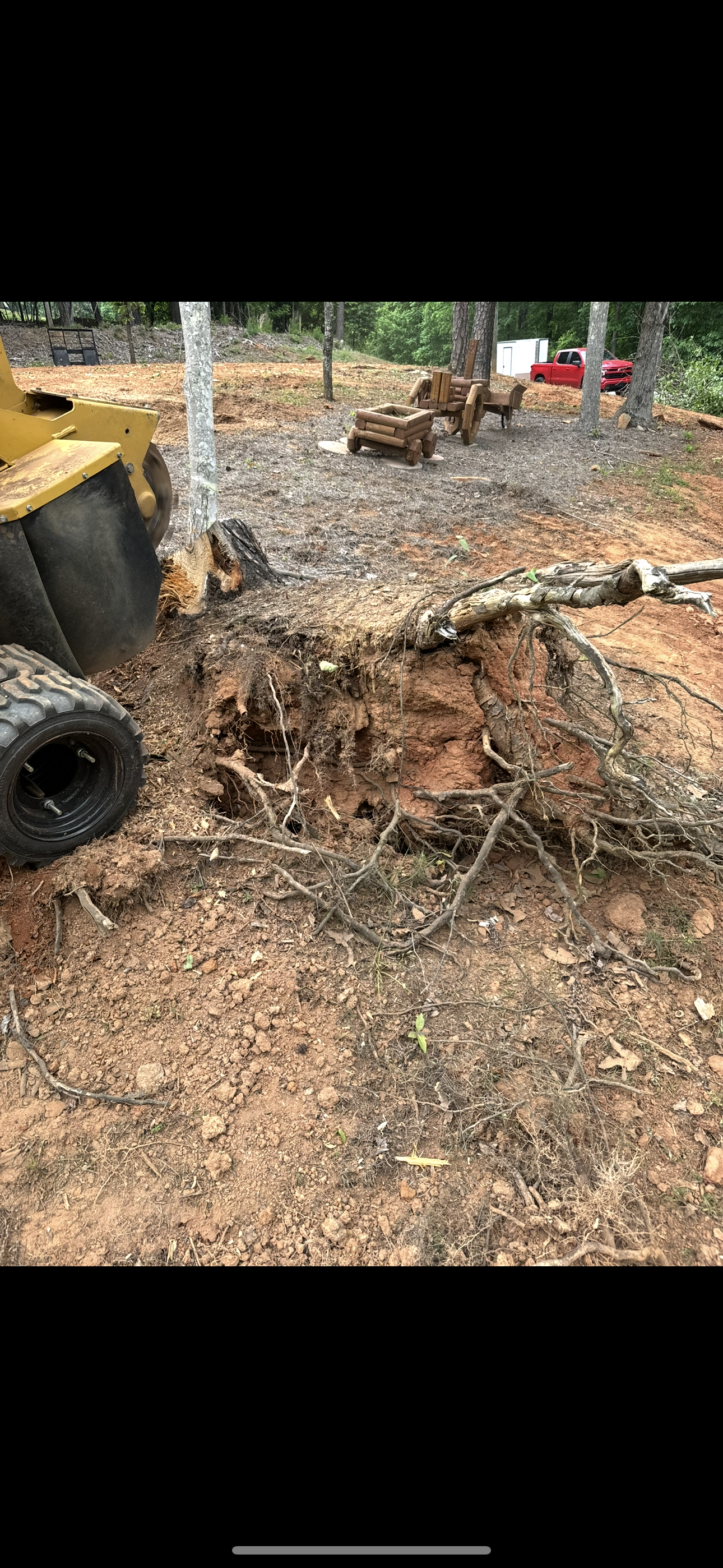 North Georgia Stump Removal LLC tree service work