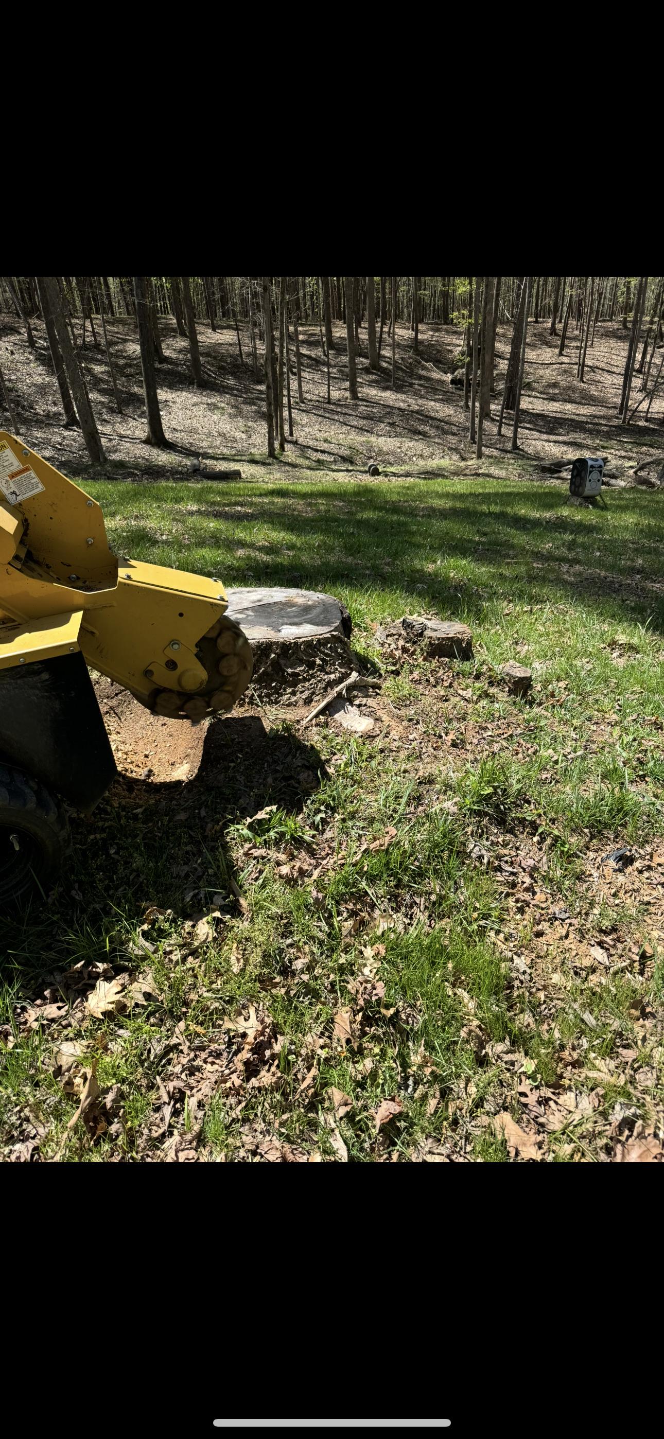 Photo of North Georgia Stump Removal LLC