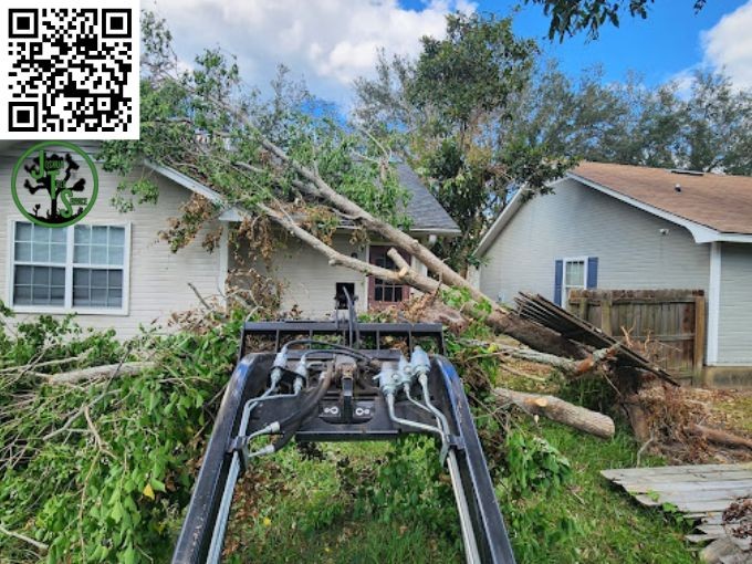 Marietta GA Tree Service