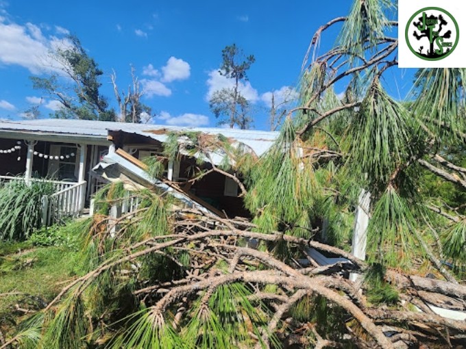 Storm Damage Clean up In Marietta GA