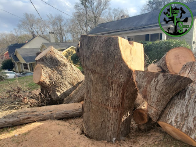 Tree Removal Service Marietta GA