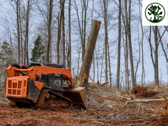 Brush Removal Service in Marietta GA