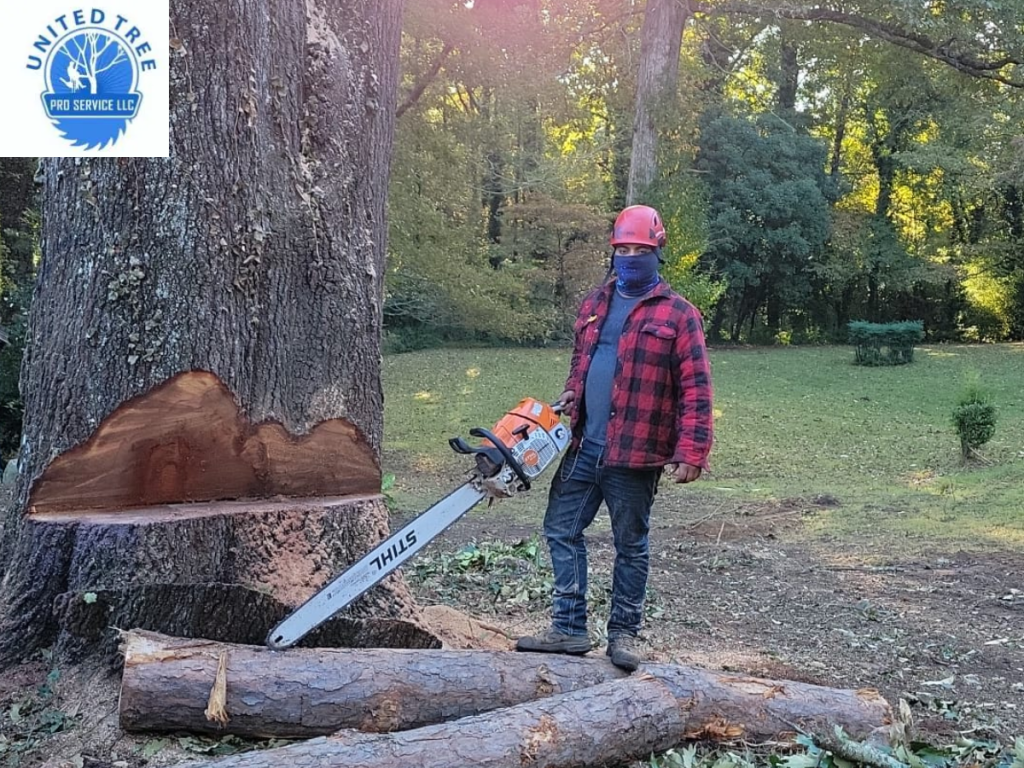 Photo of United Tree Pro Service LLC