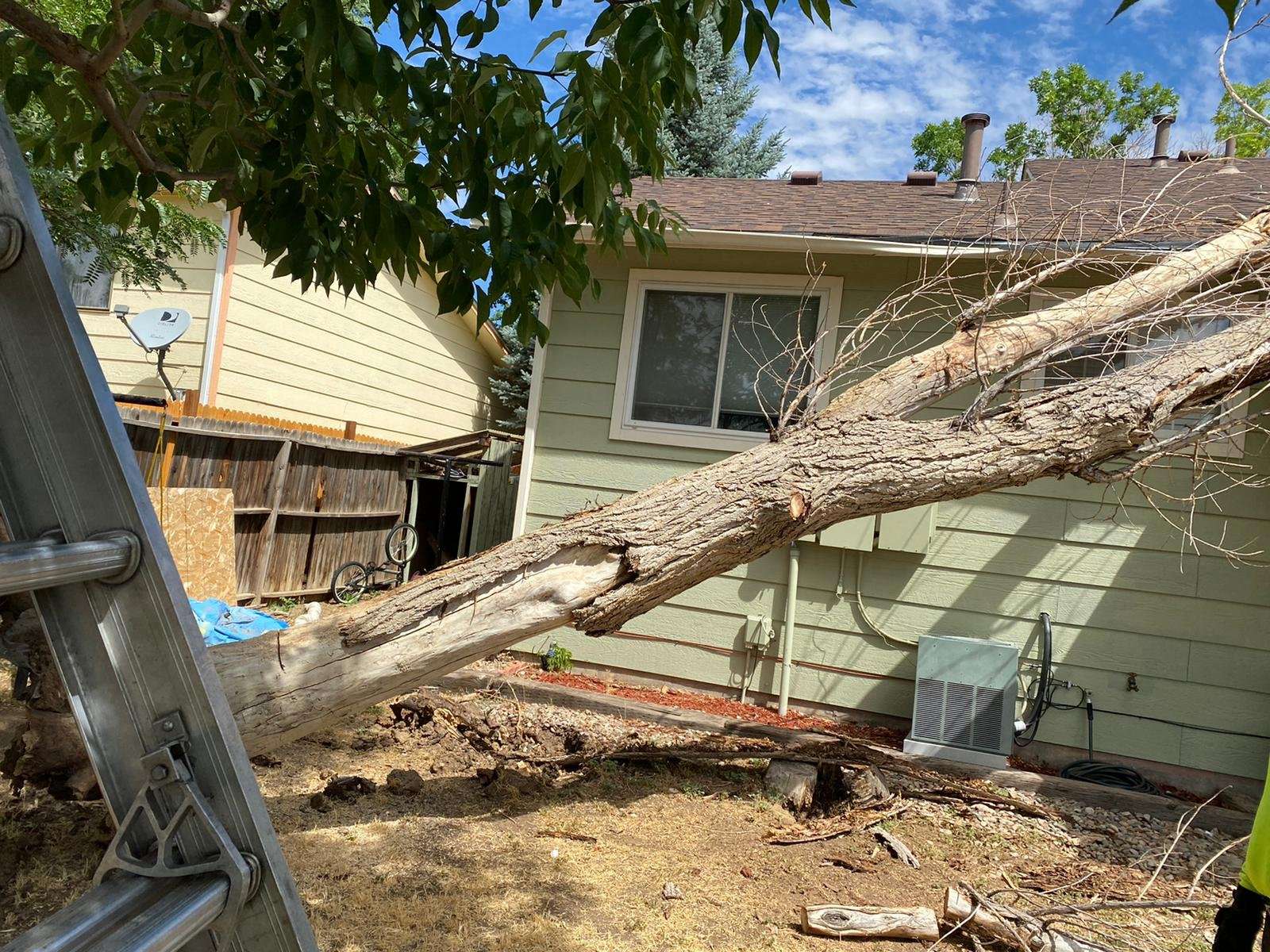 Our tree service crew removing a fallen tree leaning against a home in Marietta GA ensuring fast and safe property
