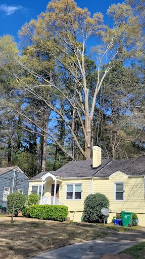 Tree Removal And Local In Mableton GA
