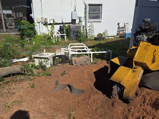 Stump Grinding Service in Marietta GA
