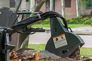 Stump grinding services