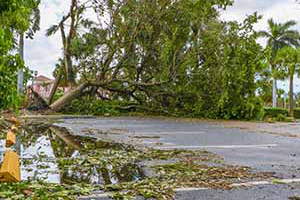 Storm cleanup response