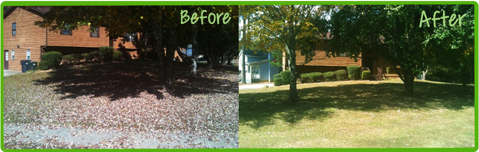 Photo of Anytime Lawn Services