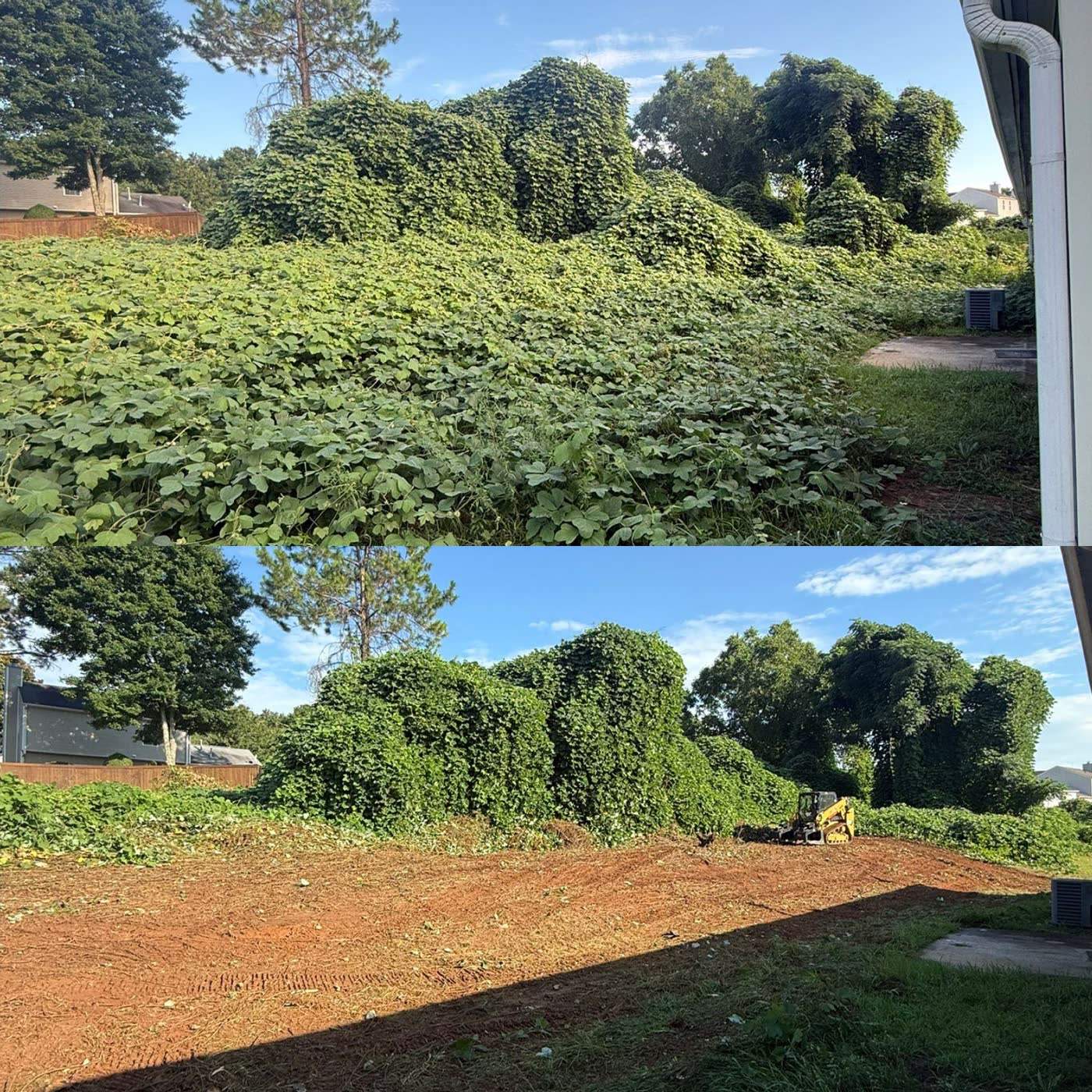Ba lot clearing.DQUuQ kR Z1PueaO