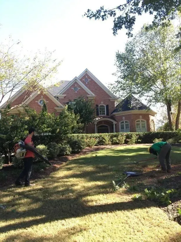 Tree removal aaa tree experts 1920w